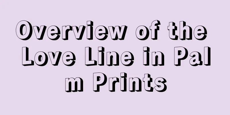 Overview of the Love Line in Palm Prints