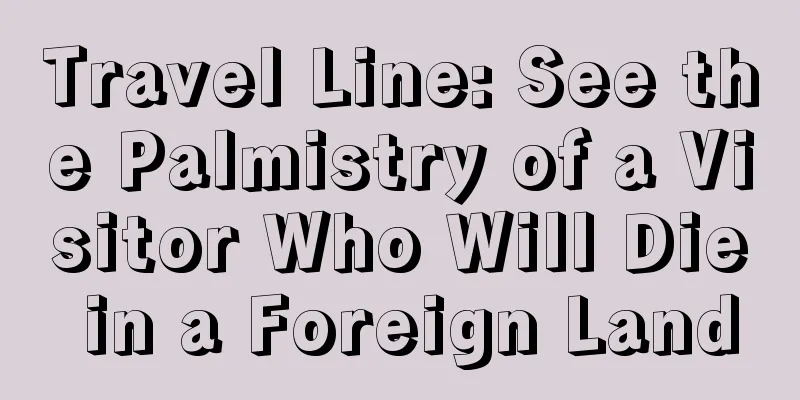 Travel Line: See the Palmistry of a Visitor Who Will Die in a Foreign Land