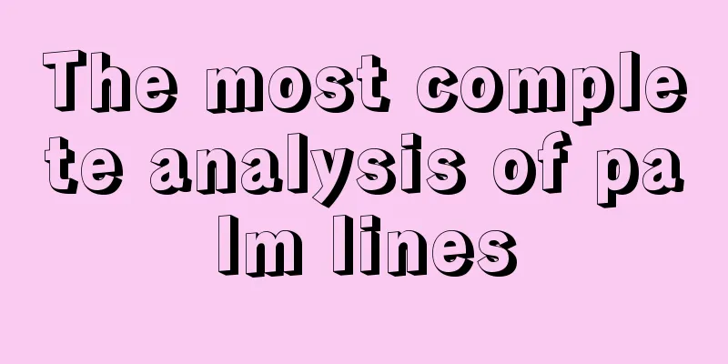 The most complete analysis of palm lines
