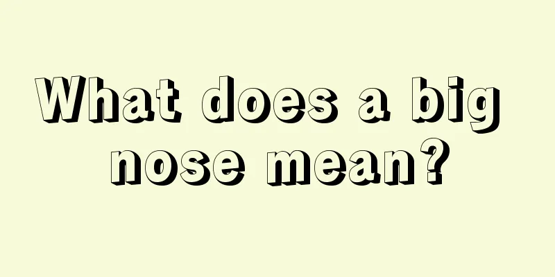 What does a big nose mean?