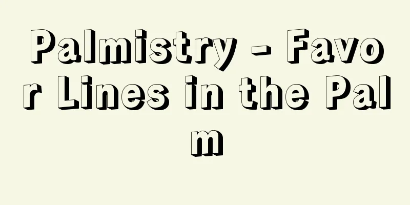 Palmistry - Favor Lines in the Palm