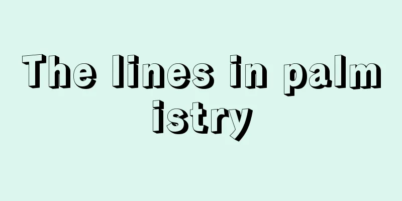 The lines in palmistry