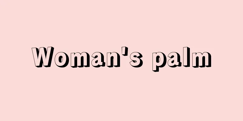 Woman's palm