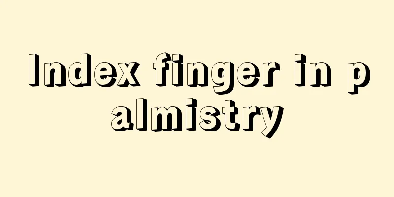 Index finger in palmistry