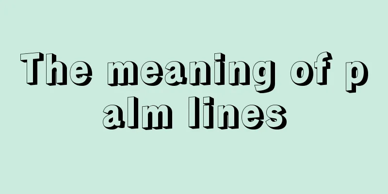 The meaning of palm lines