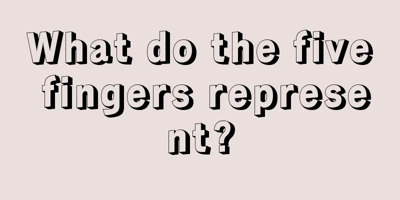 What do the five fingers represent?