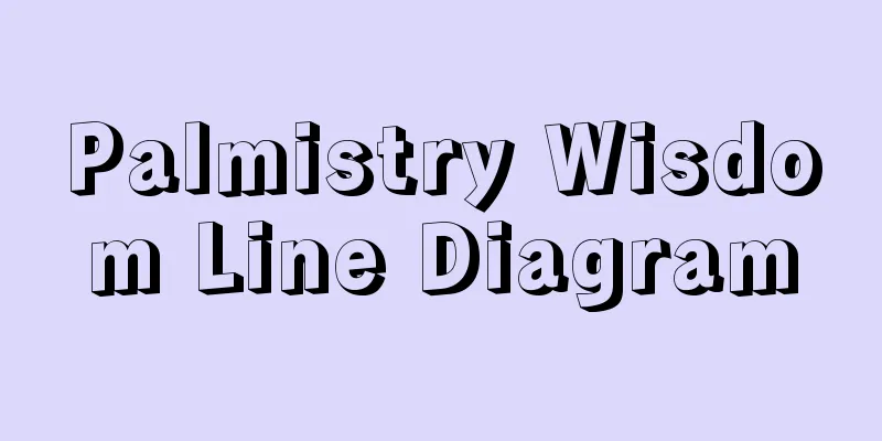 Palmistry Wisdom Line Diagram