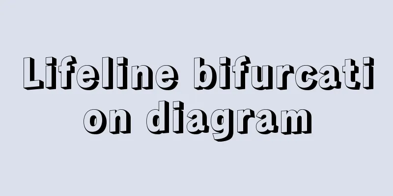 Lifeline bifurcation diagram