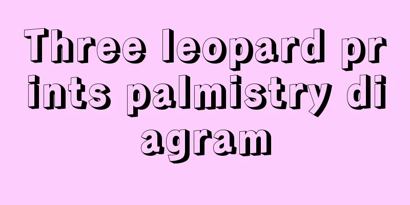 Three leopard prints palmistry diagram