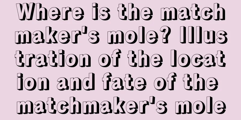 Where is the matchmaker's mole? Illustration of the location and fate of the matchmaker's mole