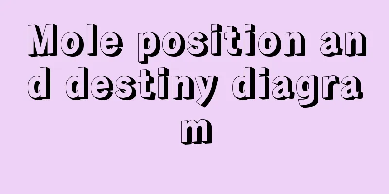 Mole position and destiny diagram