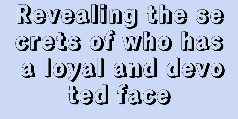Revealing the secrets of who has a loyal and devoted face