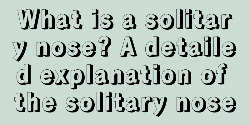 What is a solitary nose? A detailed explanation of the solitary nose