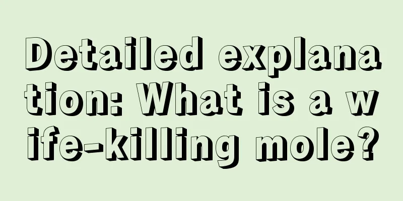 Detailed explanation: What is a wife-killing mole?