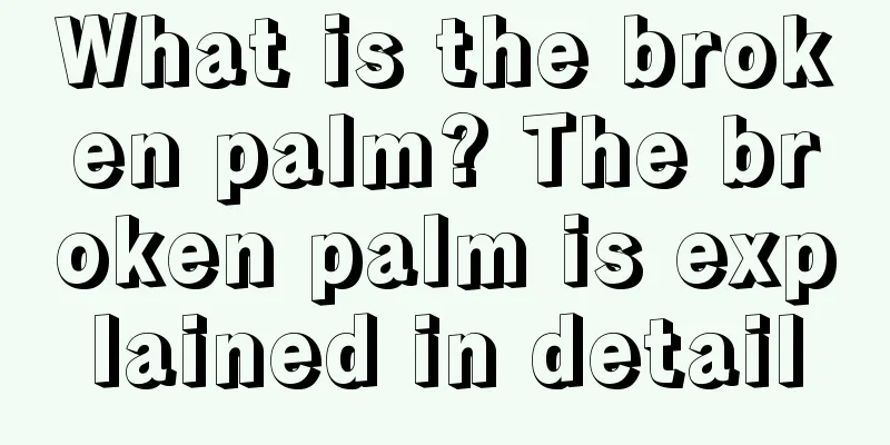 What is the broken palm? The broken palm is explained in detail