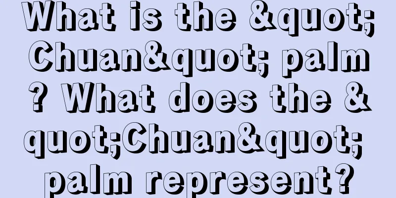 What is the "Chuan" palm? What does the "Chuan" palm represent?