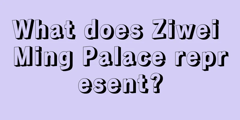 What does Ziwei Ming Palace represent?