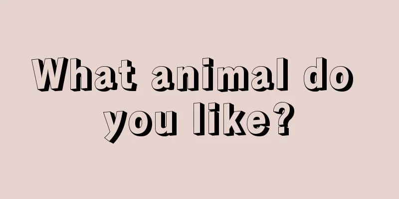 What animal do you like?