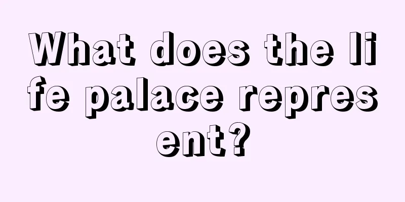 What does the life palace represent?