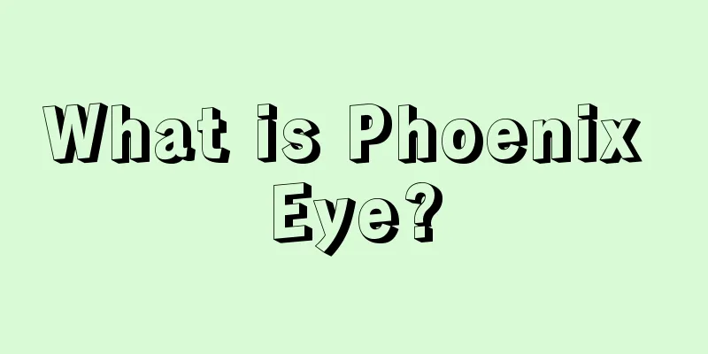 What is Phoenix Eye?