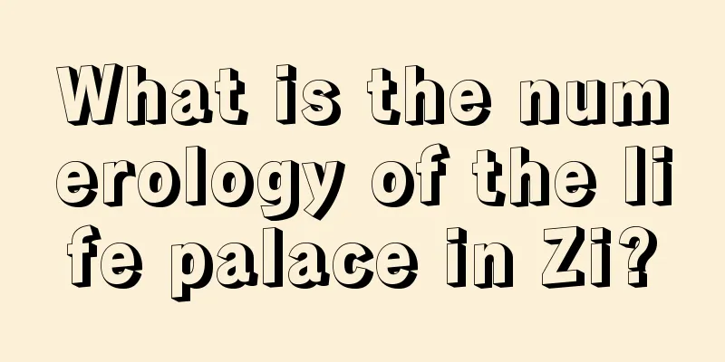 What is the numerology of the life palace in Zi?