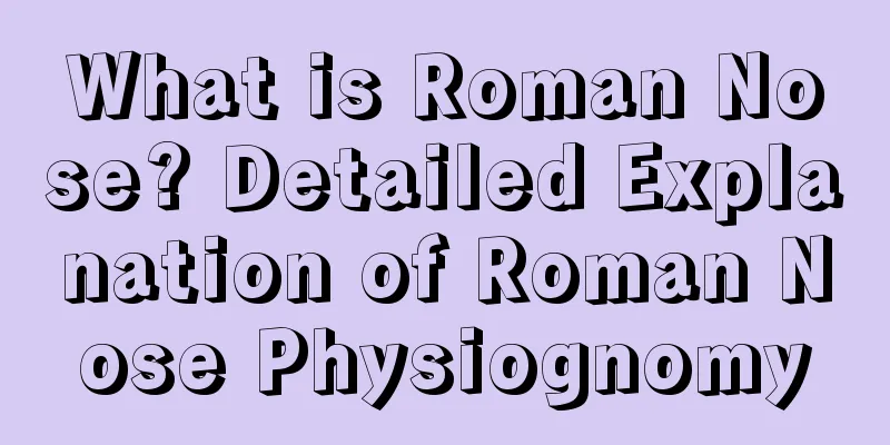 What is Roman Nose? Detailed Explanation of Roman Nose Physiognomy