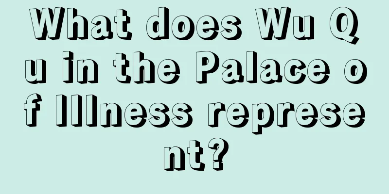 What does Wu Qu in the Palace of Illness represent?