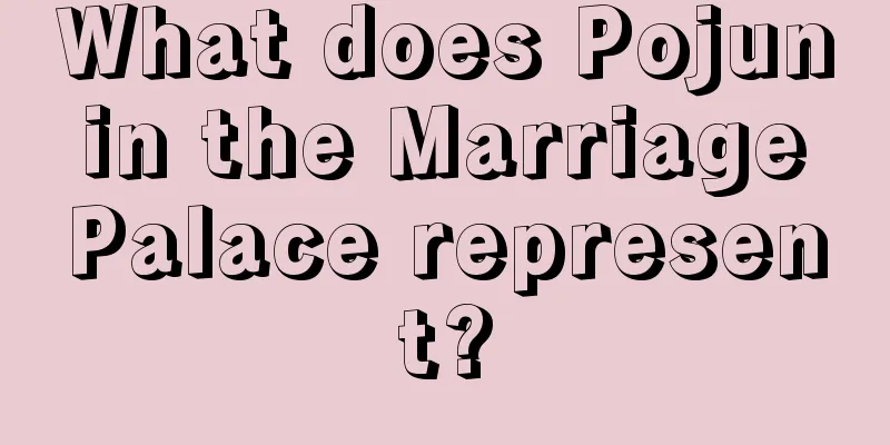 What does Pojun in the Marriage Palace represent?