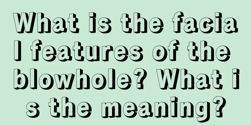 What is the facial features of the blowhole? What is the meaning?
