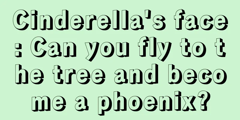 Cinderella's face: Can you fly to the tree and become a phoenix?