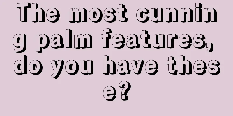 The most cunning palm features, do you have these?