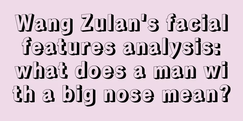 Wang Zulan's facial features analysis: what does a man with a big nose mean?