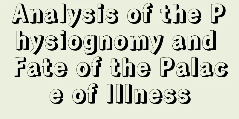 Analysis of the Physiognomy and Fate of the Palace of Illness