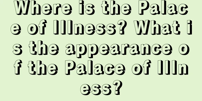 Where is the Palace of Illness? What is the appearance of the Palace of Illness?