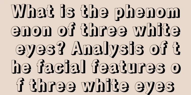 What is the phenomenon of three white eyes? Analysis of the facial features of three white eyes
