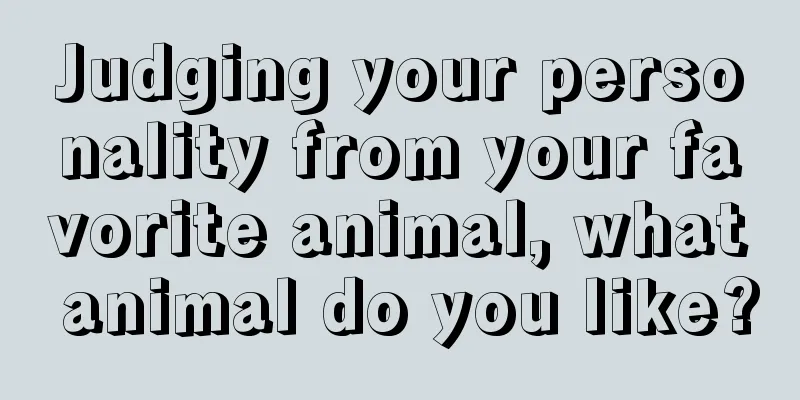 Judging your personality from your favorite animal, what animal do you like?