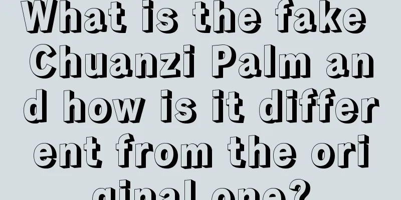What is the fake Chuanzi Palm and how is it different from the original one?