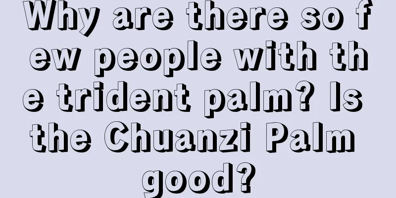 Why are there so few people with the trident palm? Is the Chuanzi Palm good?