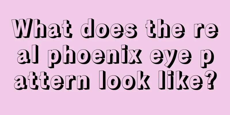 What does the real phoenix eye pattern look like?