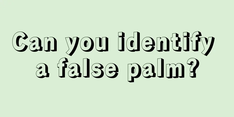 Can you identify a false palm?