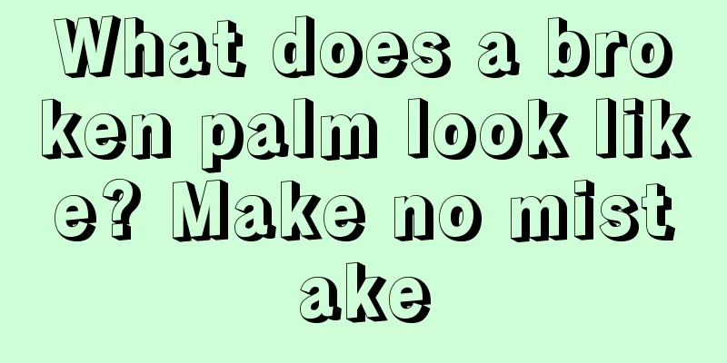 What does a broken palm look like? Make no mistake