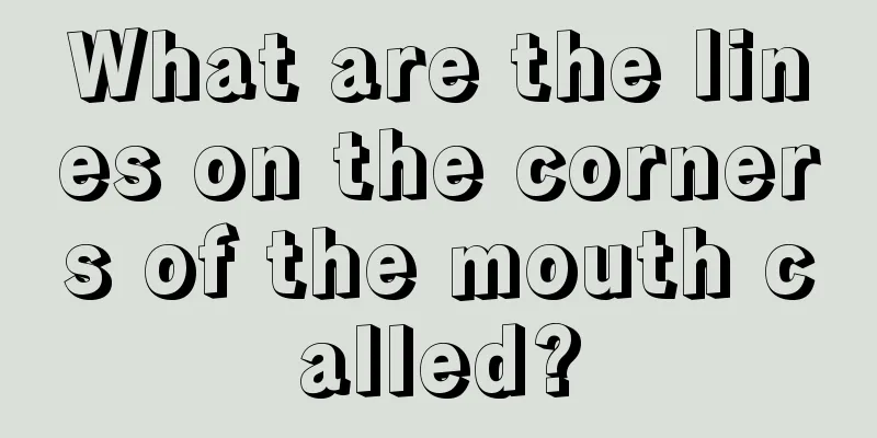 What are the lines on the corners of the mouth called?