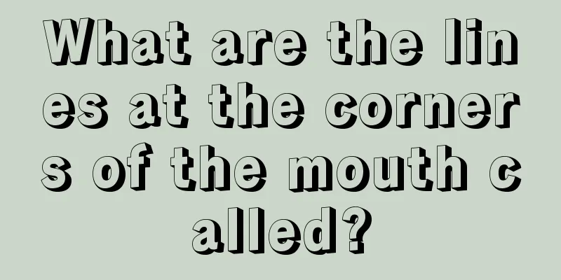 What are the lines at the corners of the mouth called?