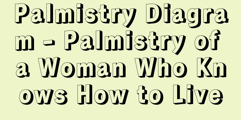 Palmistry Diagram - Palmistry of a Woman Who Knows How to Live