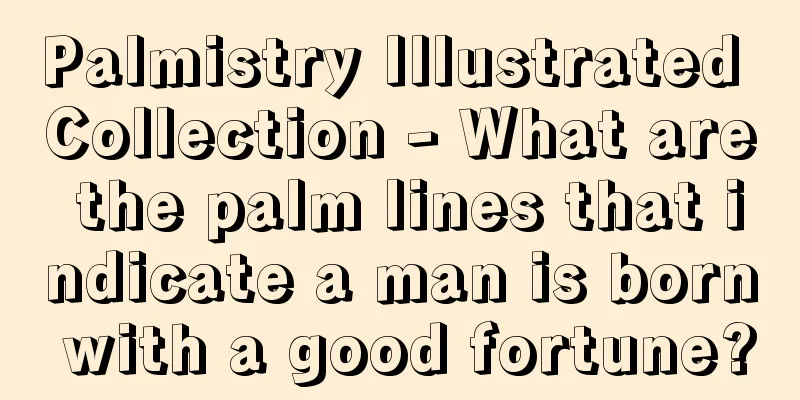 Palmistry Illustrated Collection - What are the palm lines that indicate a man is born with a good fortune?