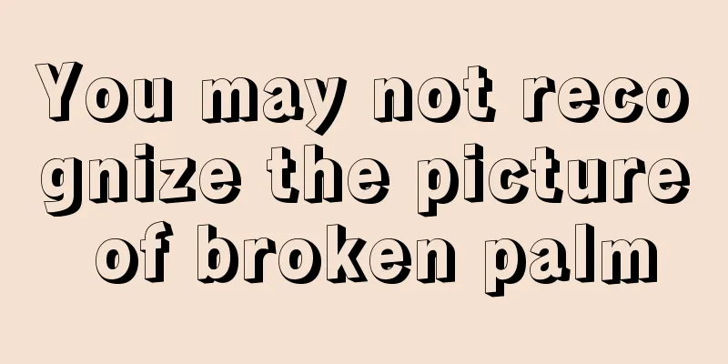 You may not recognize the picture of broken palm