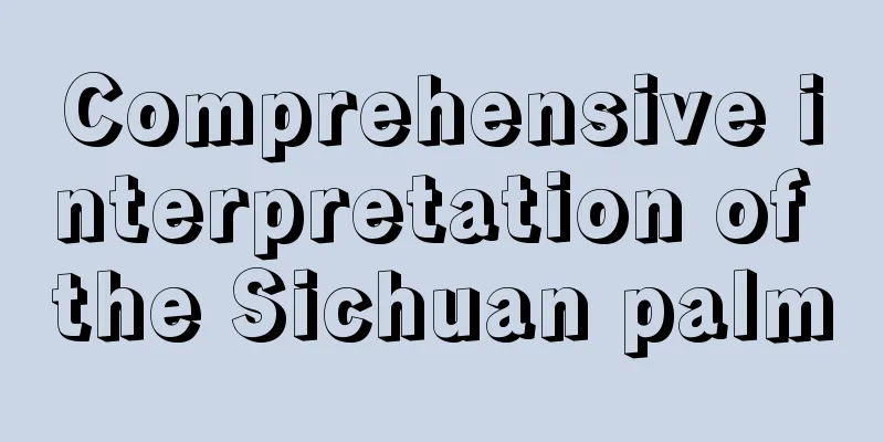 Comprehensive interpretation of the Sichuan palm