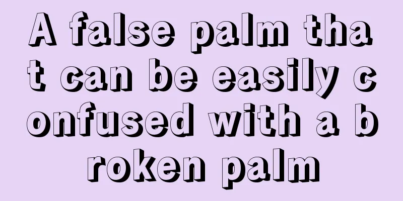 A false palm that can be easily confused with a broken palm