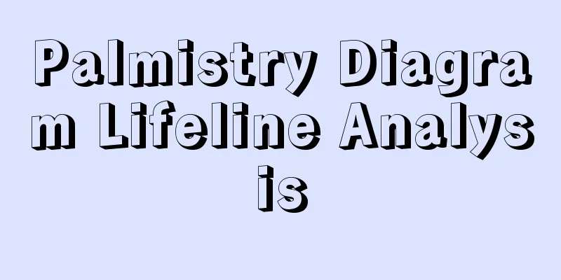 Palmistry Diagram Lifeline Analysis