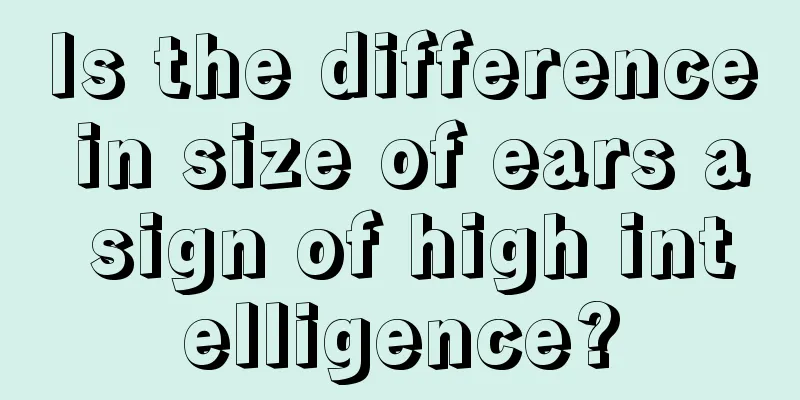 Is the difference in size of ears a sign of high intelligence?